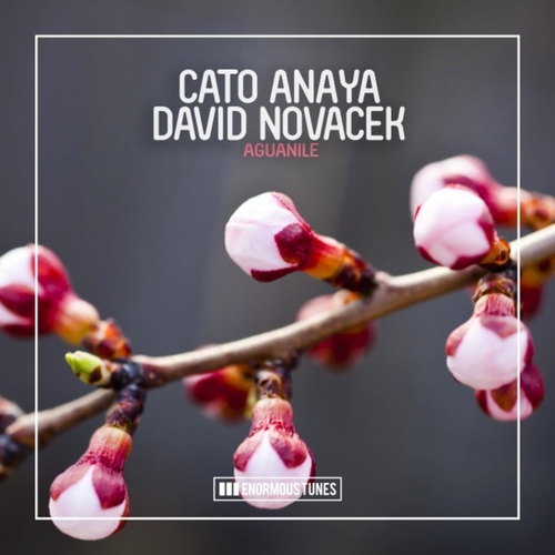 Cato Anaya, David Novacek - Aguanile [ETR637]